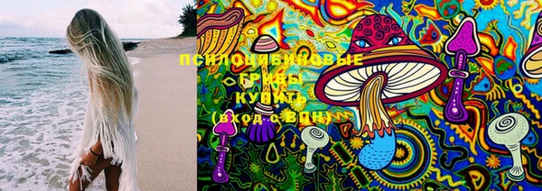 винт Алексин