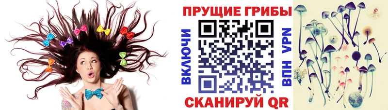 Галлюциногенные грибы GOLDEN TEACHER  Юрьевец 